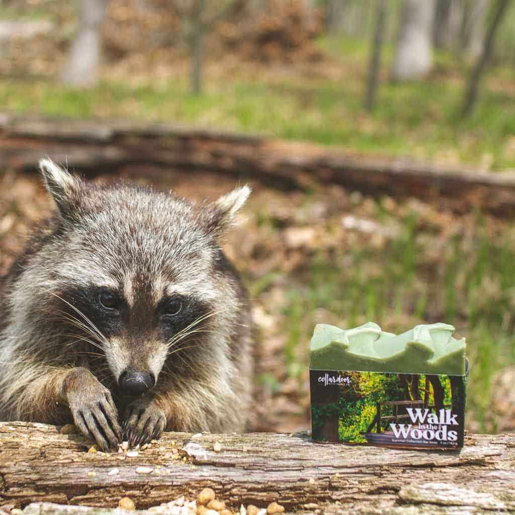 Walk in the Woods Bar Soap